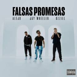 Portada de Falsas Promesas