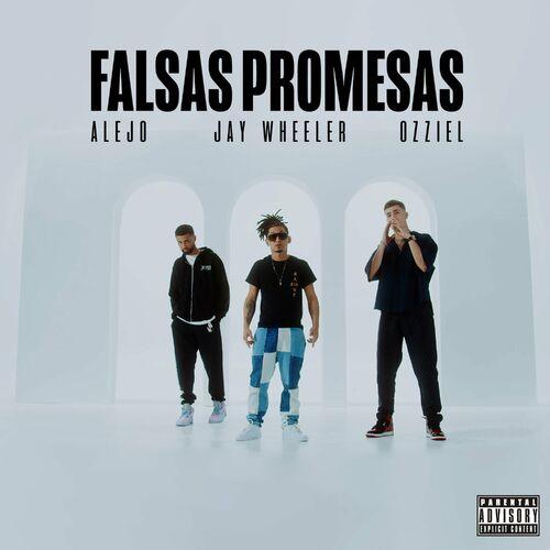 Portada de Falsas Promesas