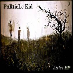 Portada de Attics