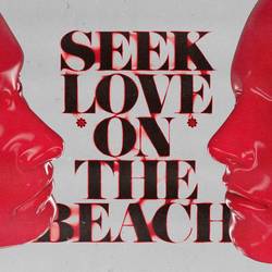 Portada de Seek Love (On The Beach) (feat. Amanda Wilson & York)
