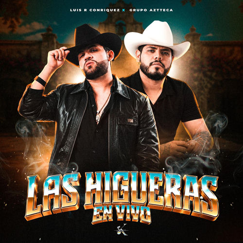 Portada de Las Higueras