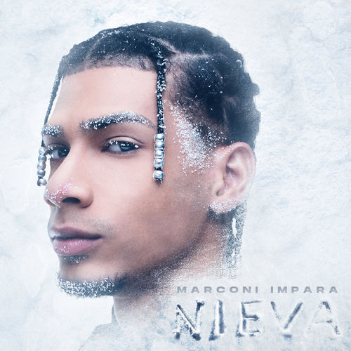 Portada de Nieva