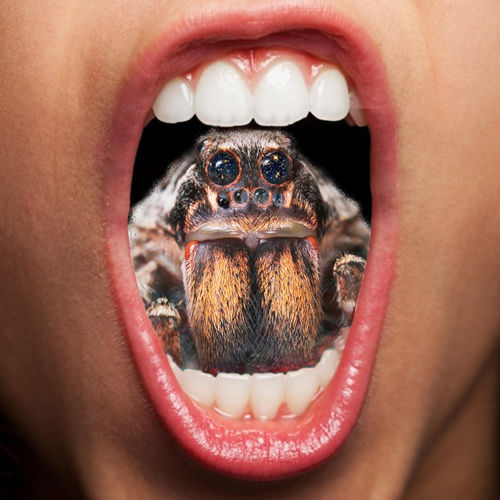 Portada de Giant Spiders of the Universe
