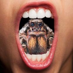 Portada de Giant Spiders of the Universe