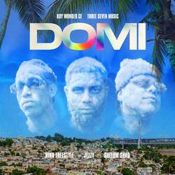 Portada de DOMI