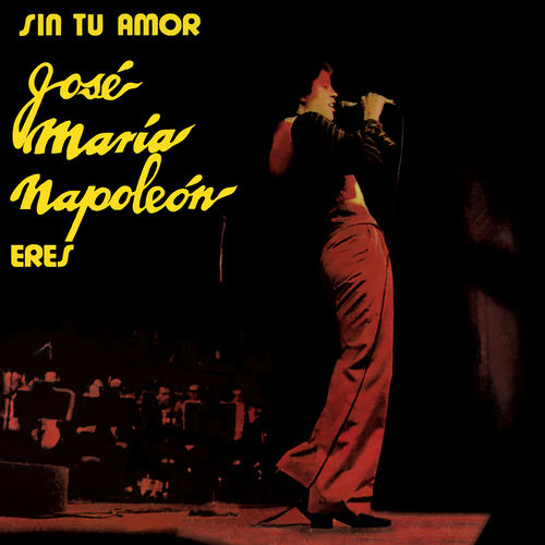 Portada de Sin Tu Amor