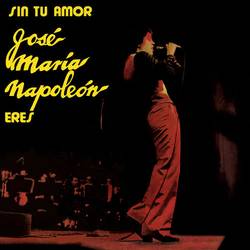 Portada de Sin Tu Amor