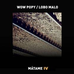 Portada de Mátame IV
