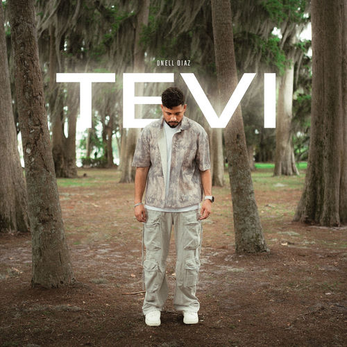 Portada de Te Vi