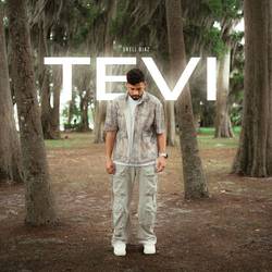 Portada de Te Vi