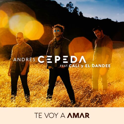 Portada de Te Voy a Amar