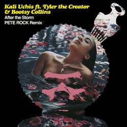 Portada de After The Storm (Pete Rock Remix)