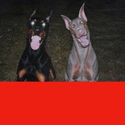 Portada de SUPER INTENSO