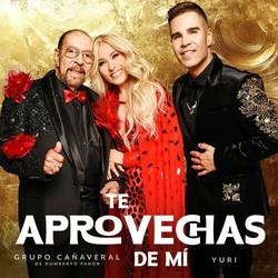 Portada de Te Aprovechas De Mí