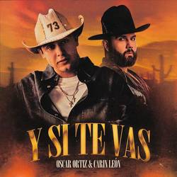 Portada de Y SI TE VAS