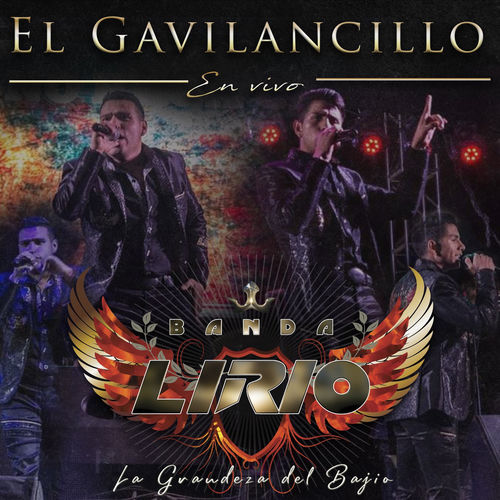 Portada de El Gavilancillo (En Vivo)