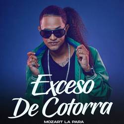 Portada de Exceso De Cotorra