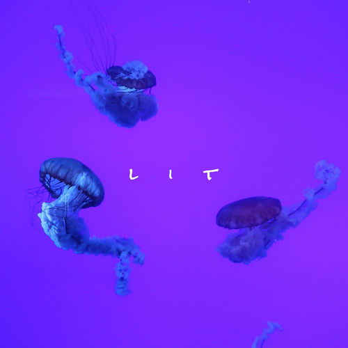 Portada de Lit