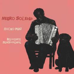 Portada de Negro Soledad