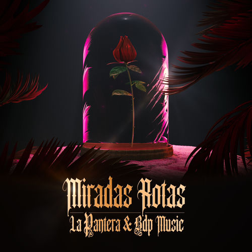 Portada de Miradas Rotas
