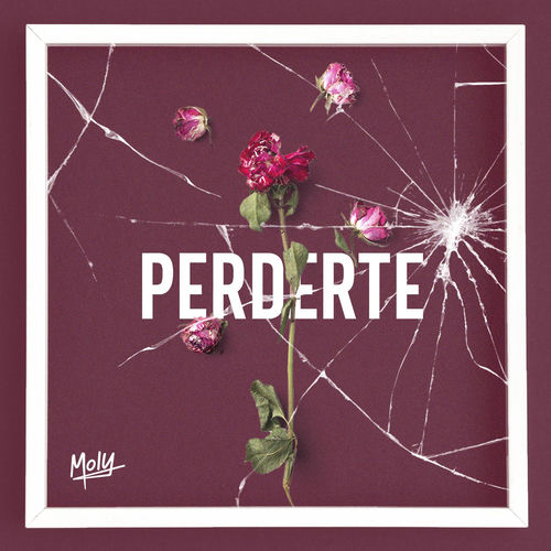 Portada de Perderte