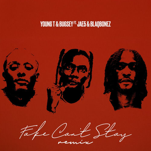 Portada de Fake Can't Stay (Remix)