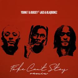 Portada de Fake Can't Stay (Remix)