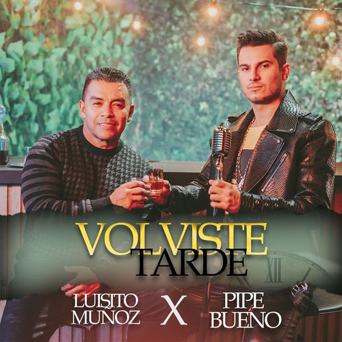 Portada de Volviste Tarde