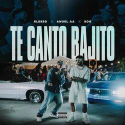 Portada de TE CANTO BAJITO