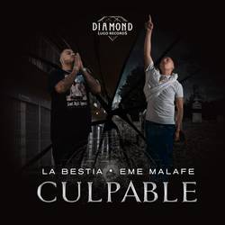 Portada de Culpable