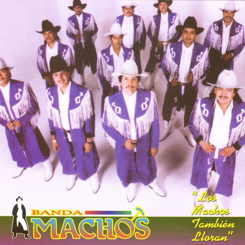 Portada de Los machos también lloran