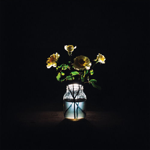 Portada de Renewal