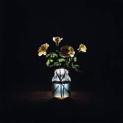 Portada de Renewal