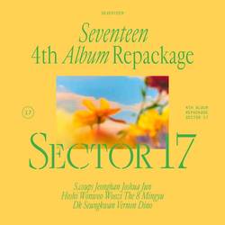 Portada de SECTOR 17