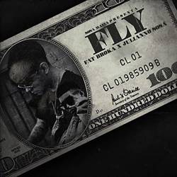 Portada de Fly