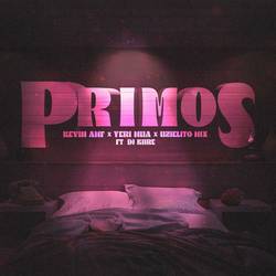 Portada de Primos (feat. Dj Kiire)