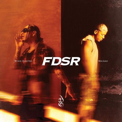 Portada de FDSR