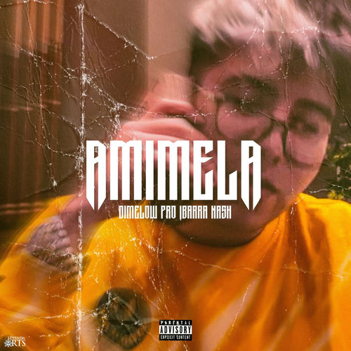 Portada de Amimela