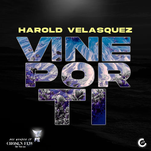 Portada de Vine Por Ti