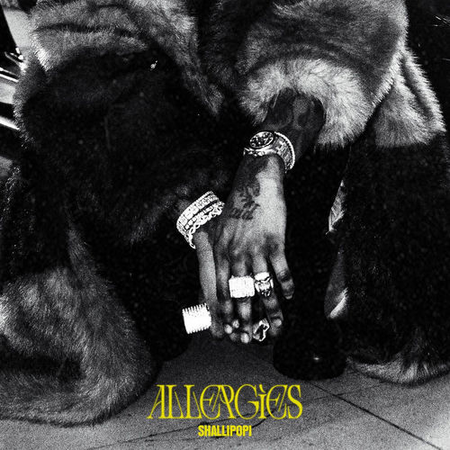 Portada de Allergies