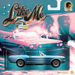Portada de Like Me