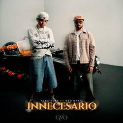 Portada de INNECESARIO