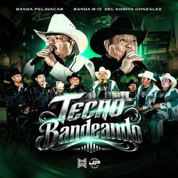 Portada de Tecno Bandeando (En Vivo)
