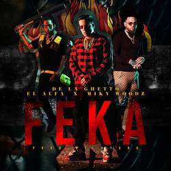 Portada de FEKA