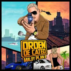Portada de Orden de Cateo