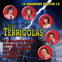 Portada de 12 Grandes Exitos