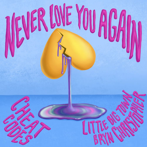 Portada de Never Love You Again