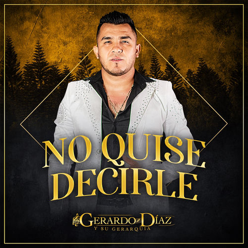 Portada de No Quise Decirle
