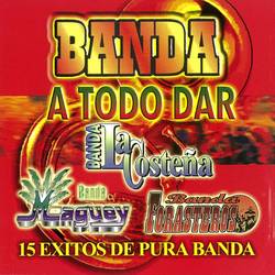 Portada de Banda A Todo Dar 15 Exitos De Pura Banda