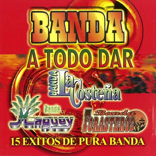 Portada de Banda A Todo Dar 15 Exitos De Pura Banda